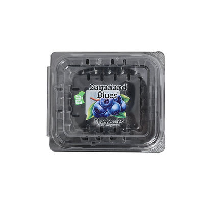 Caja transparente del acondicionamiento de los alimentos de los productos del moldeo por inyección del moldeo por inyección barato del ANIMAL DOMÉSTICO