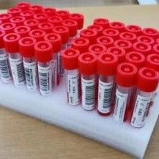 Molde de inyección de plástico GF30 piezas de plástico desechables para uso médico Molde equipo de jeringa Molde IATF 16949