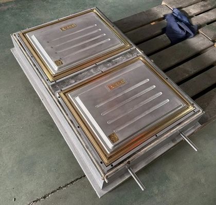 ABS / PA66 / PP / PC / PMMA Molde de puertas de plástico para el vacío